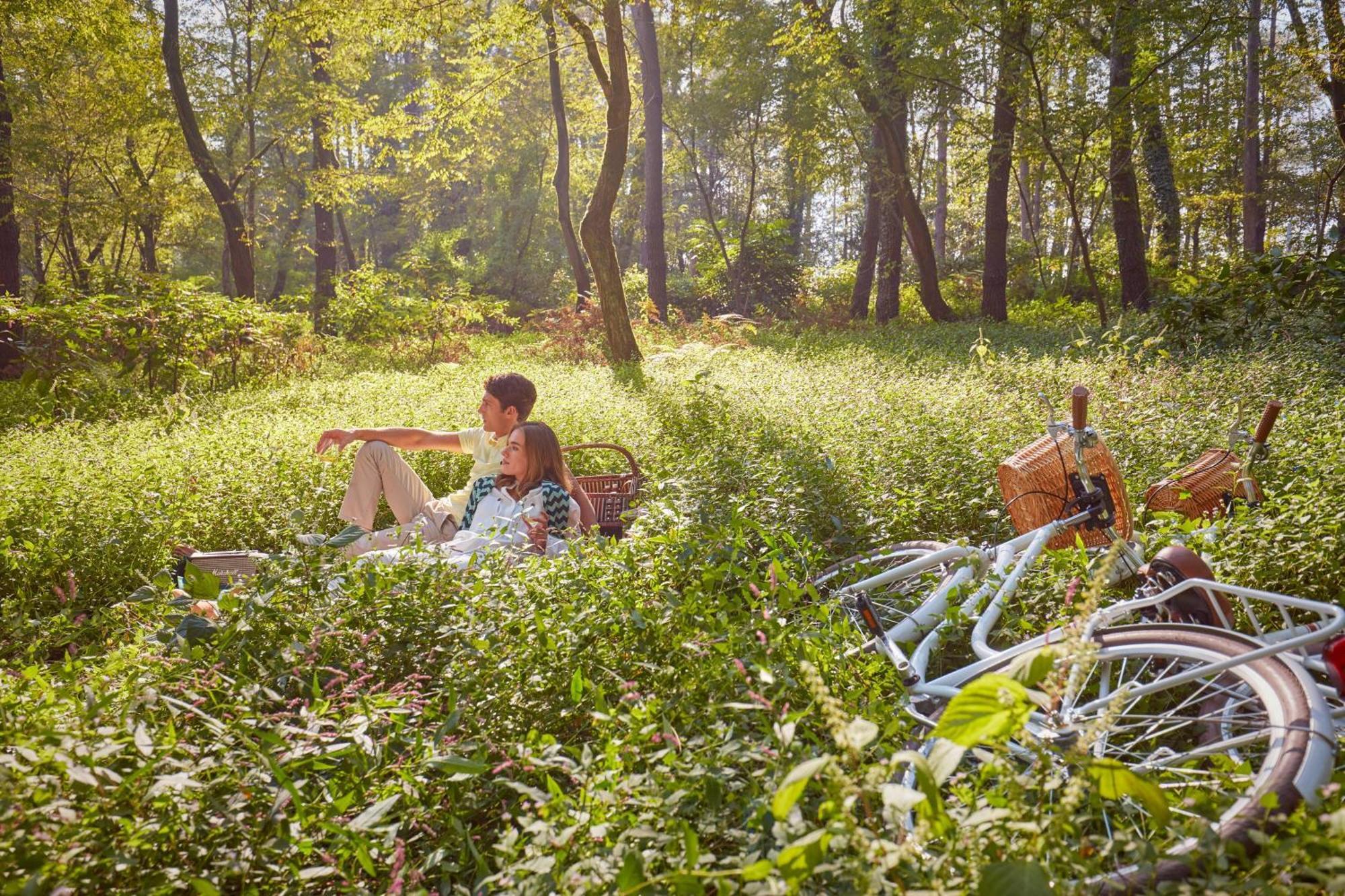 Paragraph Resort & Spa Shekvetili, Autograph Collection Eksteriør billede A picnic in the woods