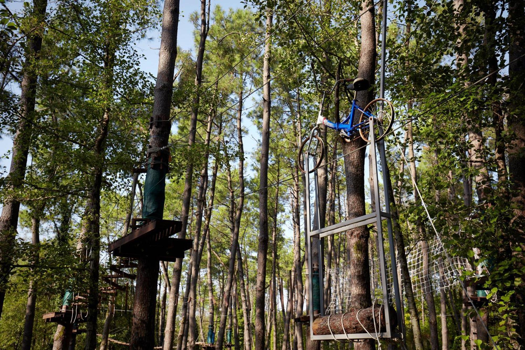 Paragraph Resort & Spa Shekvetili, Autograph Collection Eksteriør billede Adventure Park in the forest